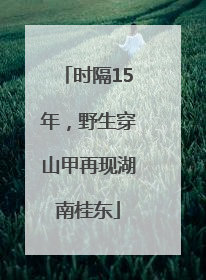 时隔15年，野生穿山甲再现湖南桂东
