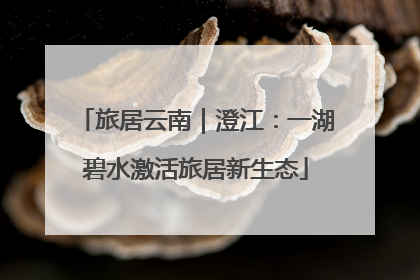 旅居云南｜澄江：一湖碧水激活旅居新生态