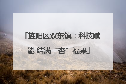 旌阳区双东镇：科技赋能 结满“杏”福果