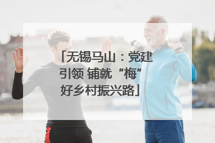 无锡马山：党建引领 铺就“梅”好乡村振兴路