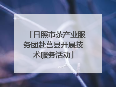 日照市茶产业服务团赴莒县开展技术服务活动