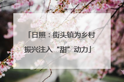 日照：街头镇为乡村振兴注入“甜”动力