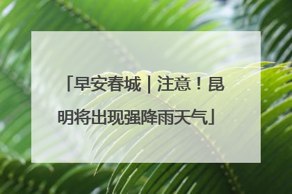 早安春城｜注意！昆明将出现强降雨天气
