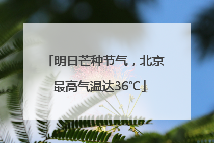 明日芒种节气，北京最高气温达36℃