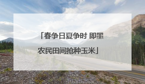 春争日夏争时 即墨农民田间抢种玉米