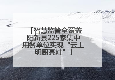 智慧监管全覆盖 阳新县225家集中用餐单位实现“云上明厨亮灶”