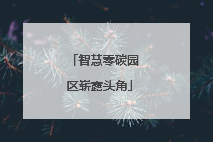 智慧零碳园区崭露头角