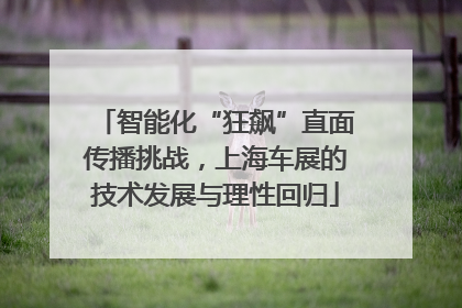 智能化“狂飙”直面传播挑战，上海车展的技术发展与理性回归