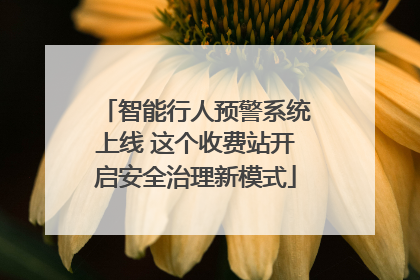 智能行人预警系统上线 这个收费站开启安全治理新模式