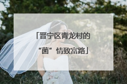 晋宁区青龙村的“菌”情致富路
