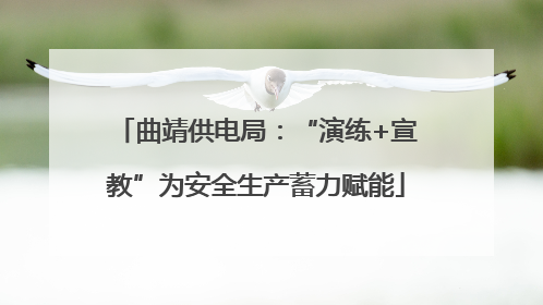 曲靖供电局：“演练+宣教”为安全生产蓄力赋能