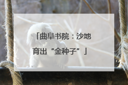 曲阜书院：沙地育出“金种子”