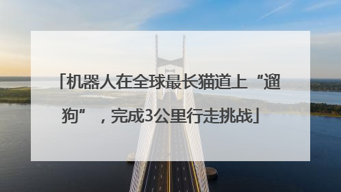 机器人在全球最长猫道上“遛狗”，完成3公里行走挑战