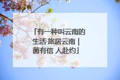 有一种叫云南的生活·旅居云南｜菌有信 人赴约