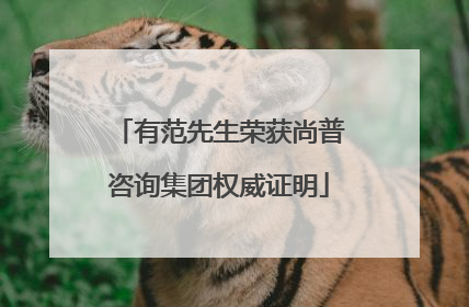 有范先生荣获尚普咨询集团权威证明