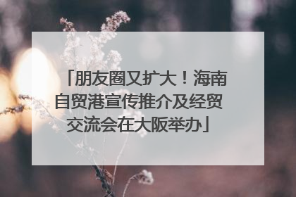 朋友圈又扩大！海南自贸港宣传推介及经贸交流会在大阪举办