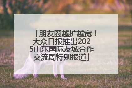 朋友圈越扩越宽！大众日报推出2025山东国际友城合作交流周特别报道