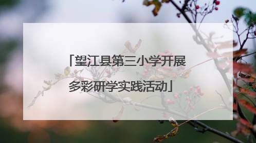 望江县第三小学开展多彩研学实践活动