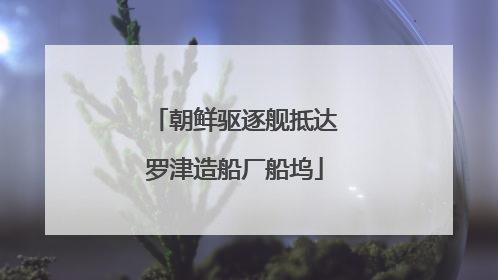 朝鲜驱逐舰抵达罗津造船厂船坞