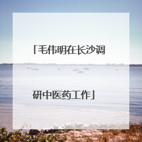 毛伟明在长沙调研中医药工作