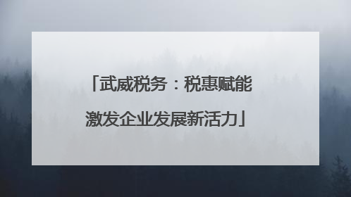 武威税务：税惠赋能 激发企业发展新活力