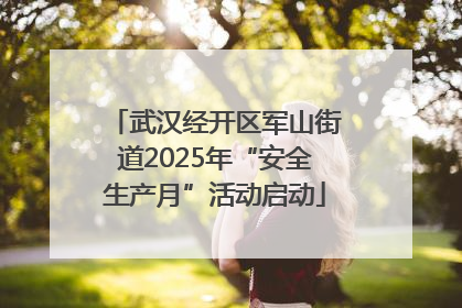 武汉经开区军山街道2025年“安全生产月”活动启动