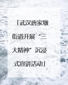 武汉唐家墩街道开展“三大精神”沉浸式宣讲活动