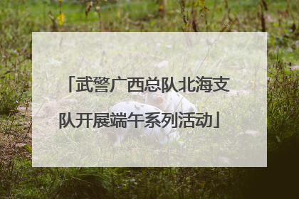 武警广西总队北海支队开展端午系列活动
