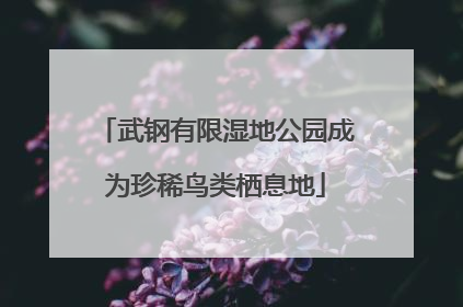 武钢有限湿地公园成为珍稀鸟类栖息地