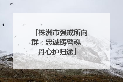 株洲市强戒所向群：忠诚铸警魂 丹心护归途