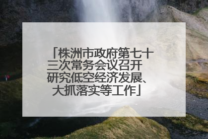 株洲市政府第七十三次常务会议召开 研究低空经济发展、大抓落实等工作