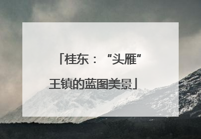 桂东：“头雁”王镇的蓝图美景