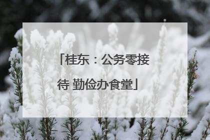 桂东：公务零接待 勤俭办食堂