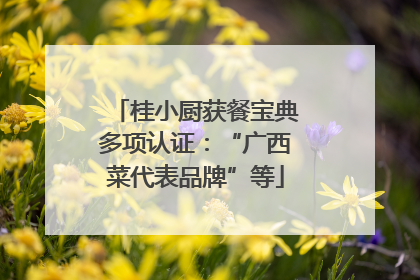 桂小厨获餐宝典多项认证：“广西菜代表品牌”等