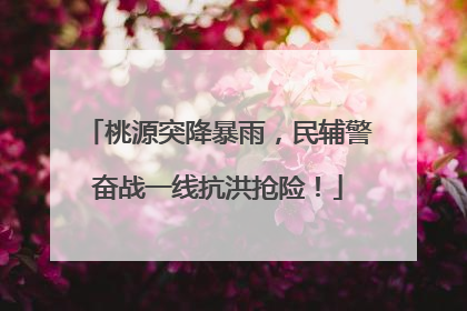 桃源突降暴雨，民辅警奋战一线抗洪抢险！