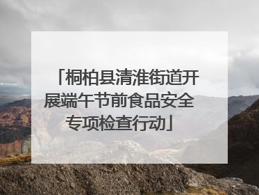 桐柏县清淮街道开展端午节前食品安全专项检查行动