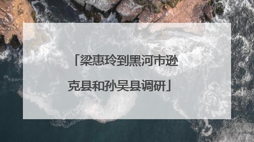 梁惠玲到黑河市逊克县和孙吴县调研