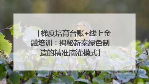 梯度培育台账+线上金融培训：揭秘新泰绿色制造的精准滴灌模式