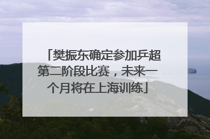 樊振东确定参加乒超第二阶段比赛，未来一个月将在上海训练
