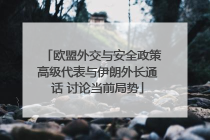欧盟外交与安全政策高级代表与伊朗外长通话 讨论当前局势