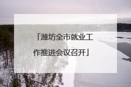 潍坊全市就业工作推进会议召开