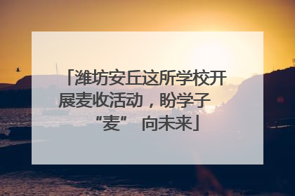 潍坊安丘这所学校开展麦收活动，盼学子 “麦” 向未来