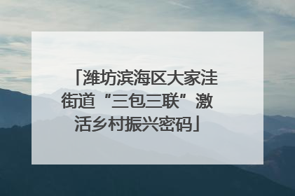 潍坊滨海区大家洼街道“三包三联”激活乡村振兴密码