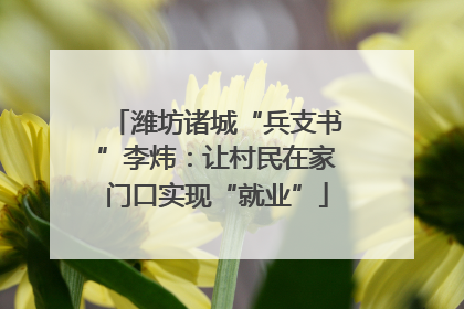 潍坊诸城“兵支书”李炜：让村民在家门口实现“就业”