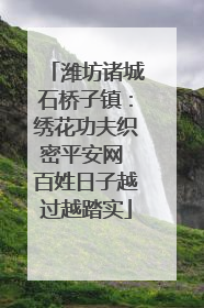 潍坊诸城石桥子镇：绣花功夫织密平安网 百姓日子越过越踏实