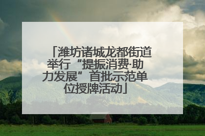 潍坊诸城龙都街道举行“提振消费·助力发展”首批示范单位授牌活动