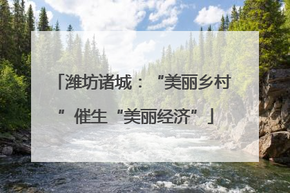 潍坊诸城：“美丽乡村”催生“美丽经济”