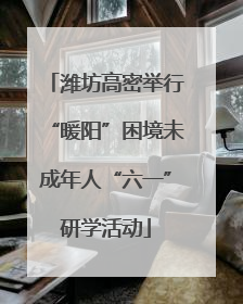 潍坊高密举行“暖阳”困境未成年人“六一”研学活动