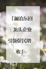 澜沧东回：龙头企业引领促民增收