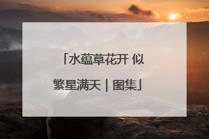 水蕴草花开 似繁星满天｜图集